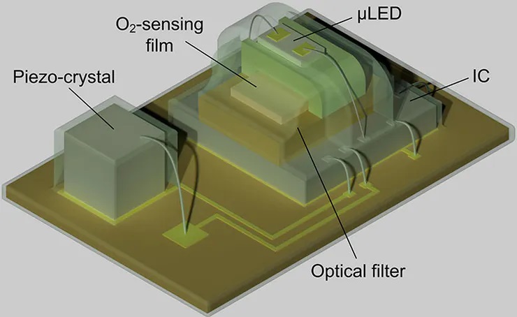 Thiết kế nhỏ gọn của cảm biến oxy gồm một μLED, bộ lọc quang học, phim cảm biến oxy, IC và một thạch anh